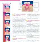 Fiche parodontale